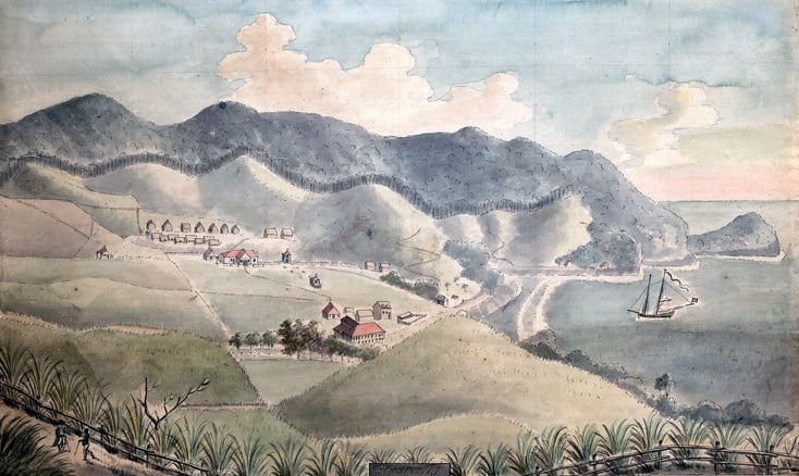 1776 map of Dominica, in the Caribbean Sea, showing the estates of English colonists.  Among the Plantation buildings are a mansion, Negro Quarters, servants rooms, managers house, works mill, gardens and stock yards.